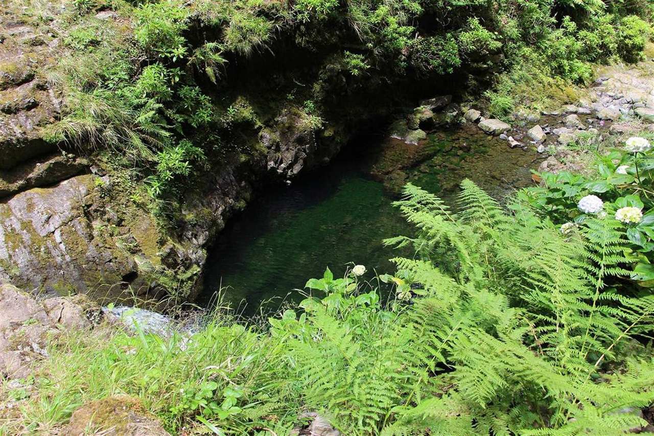 Deep green pool at Caldeirão Verde, Madeira, surrounded by ferns, moss-covered rocks and lush vegetation
