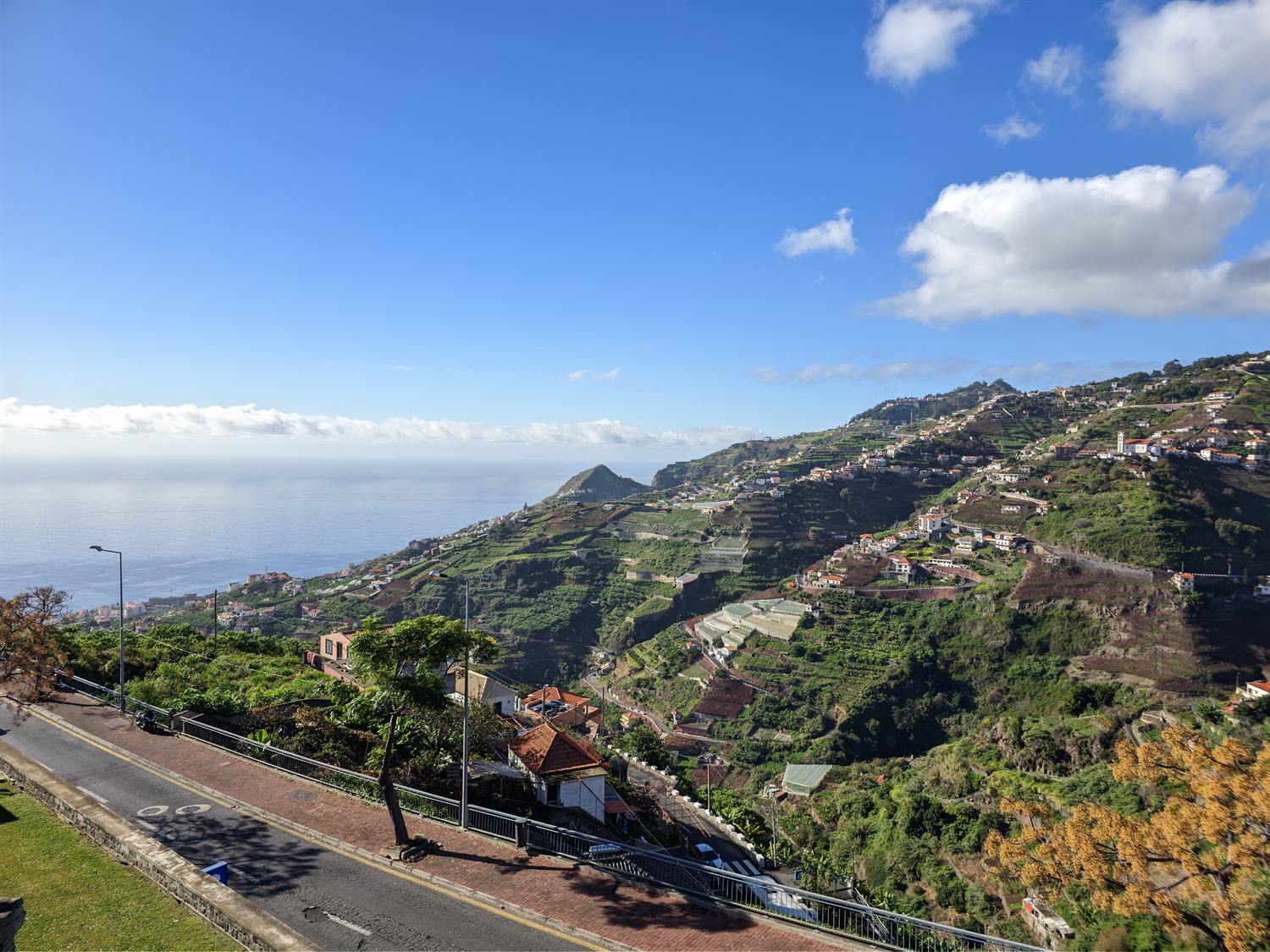 Terraced hillside above the coast at Estreito de Câmara de Lobos, Madeira, with cultivated plots running down toward the sea
