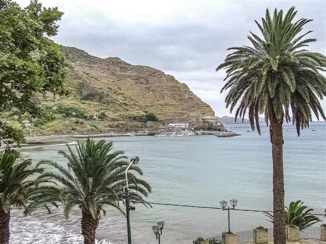 Palm trees frame Machico Bay with its beach, harbour and terraced hillside under a cloudy sky