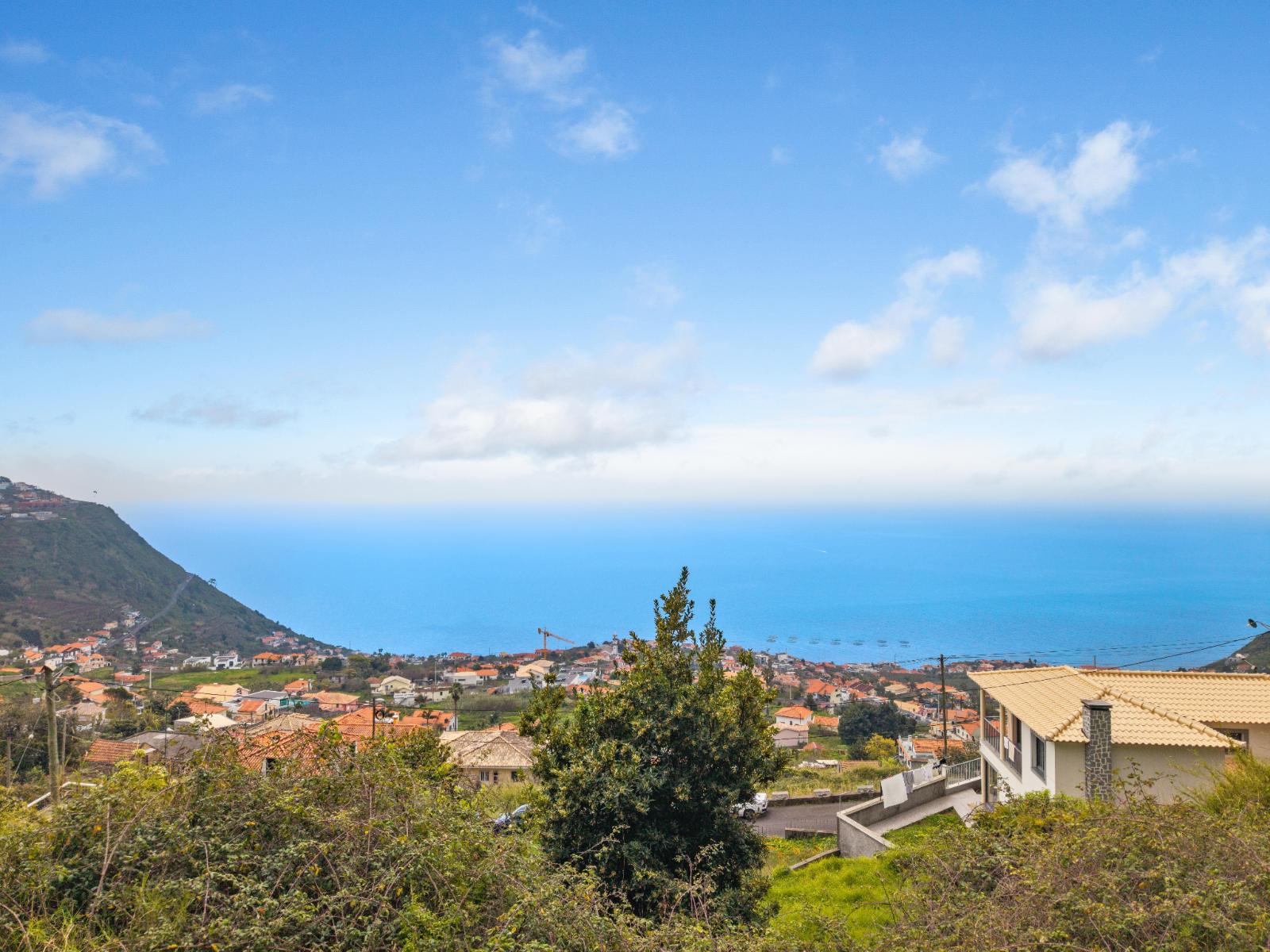 Aerial view toward the coast from above the plot, with a tree in the foreground