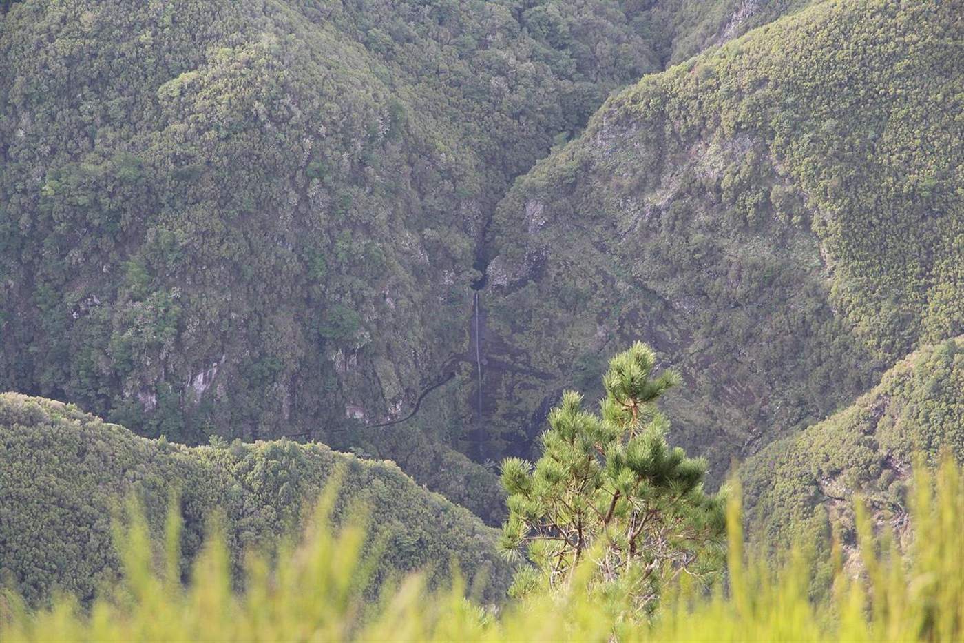 View from the Paul da Serra plateau down into the forested Rabaçal valley, Madeira