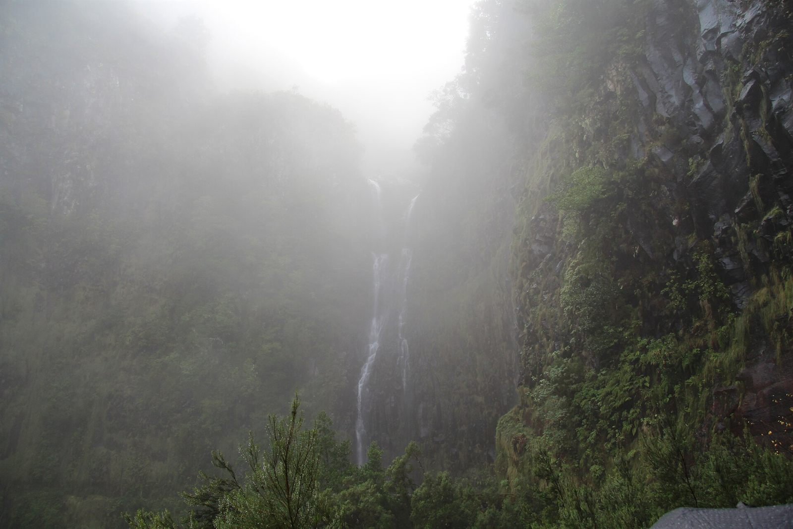 Risco waterfall streams down a misty, moss-covered cliff on Madeira Island