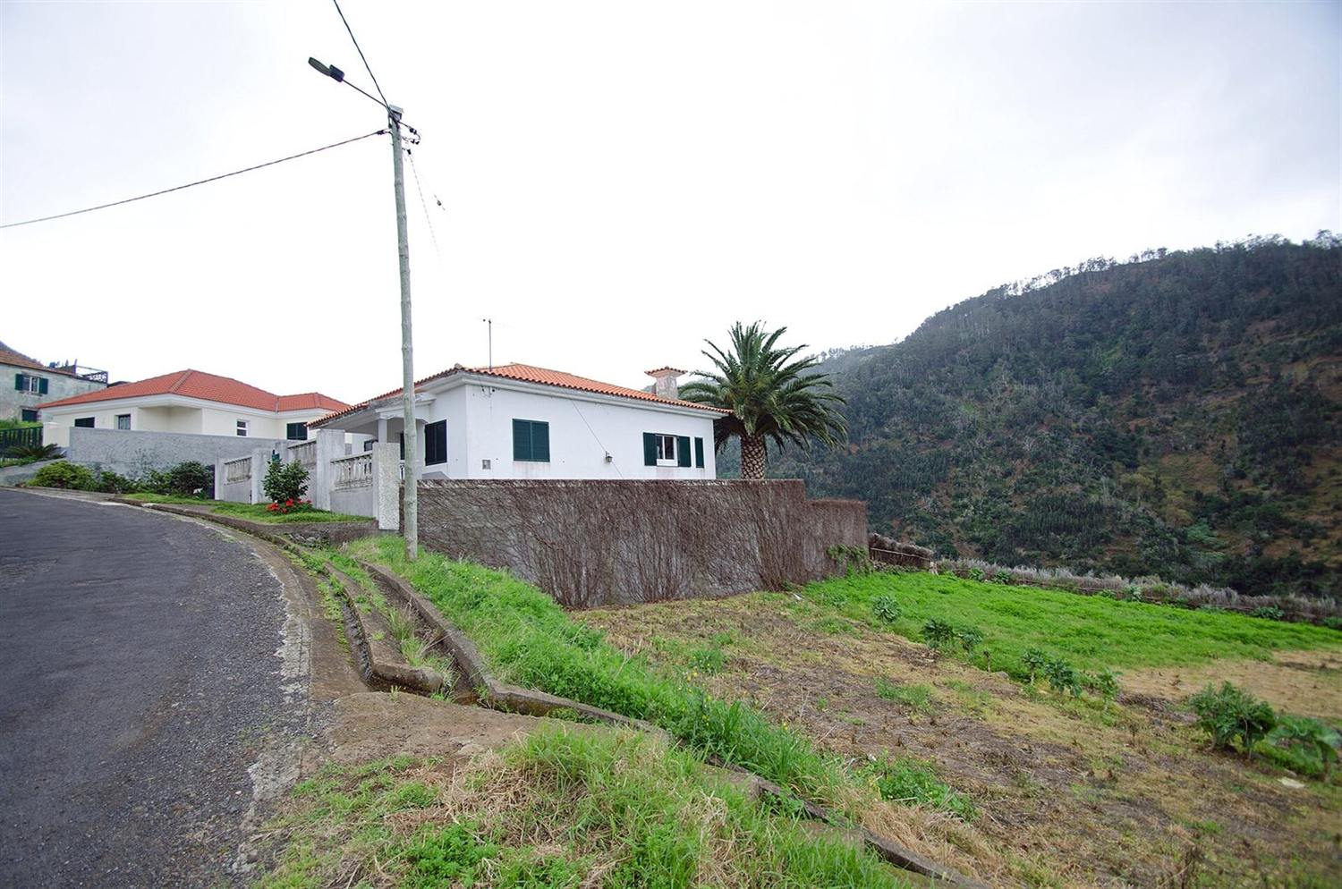 White villas with terracotta roofs and a palm tree along a hillside road in Madeira